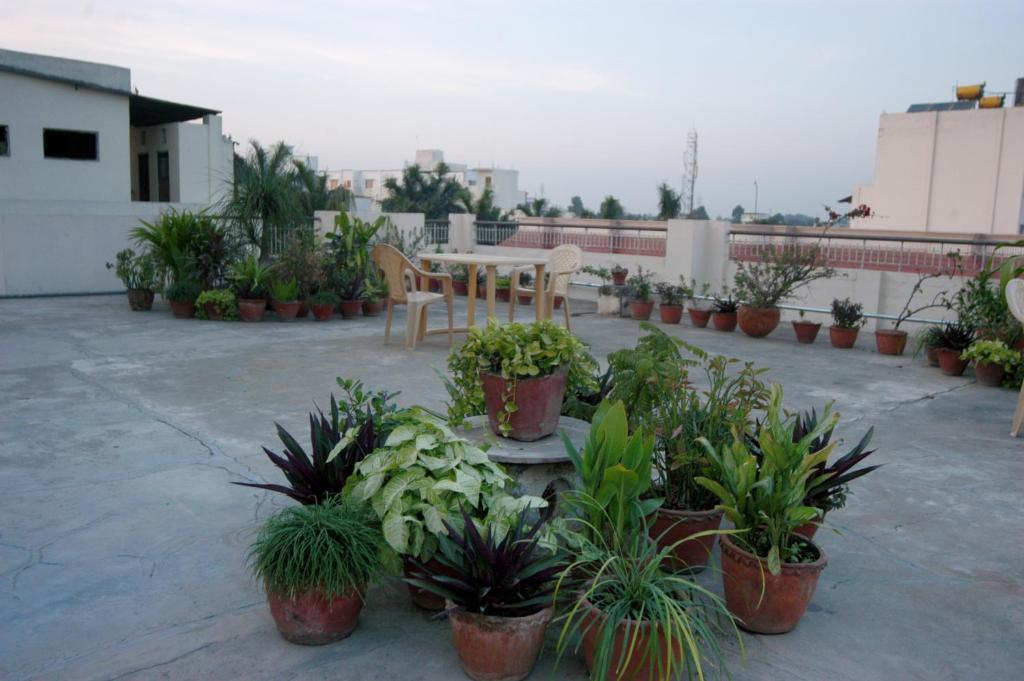 Hotel Ajaya Varanasi Ngoại thất bức ảnh